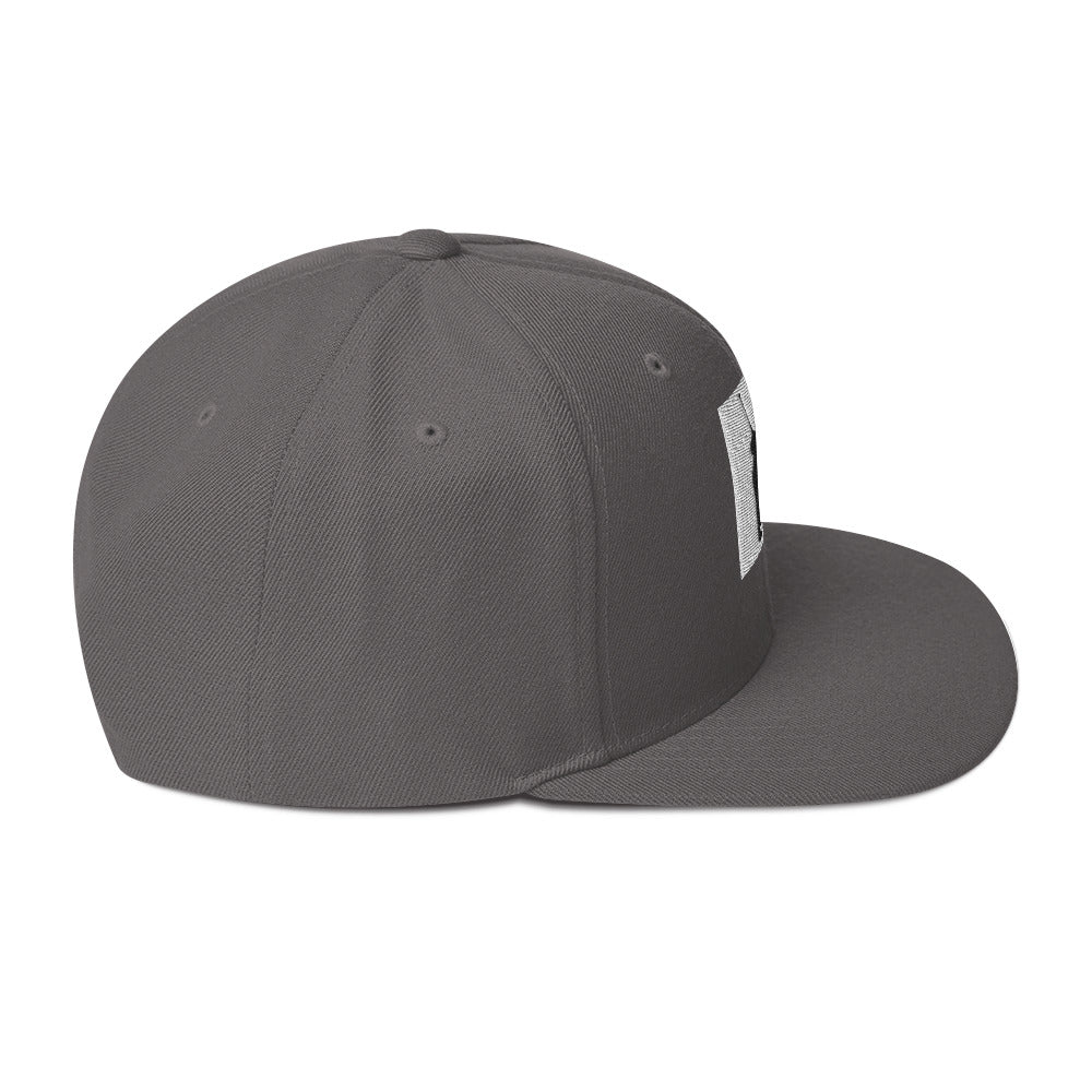 Snapback Hat- Silhouette